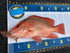 Fishing Brag Mats (Pack of 10)